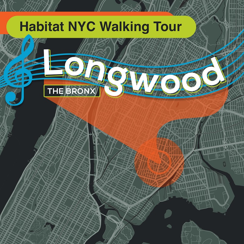Neighborhood Walking Tour: Longwood, Bronx
